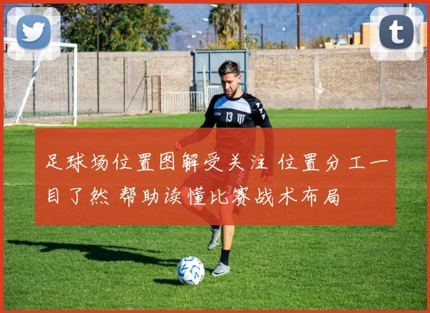 足球场位置图解受关注 位置分工一目了然 帮助读懂比赛战术布局