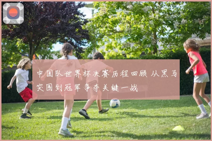 中国队世界杯决赛历程回顾 从黑马突围到冠军争夺关键一战