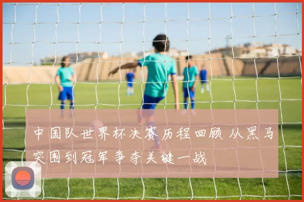 中国队世界杯决赛历程回顾 从黑马突围到冠军争夺关键一战