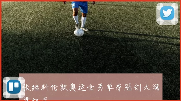 张继科伦敦奥运会男单夺冠创大满贯纪录